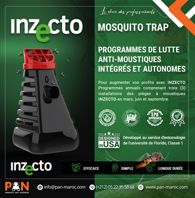 INZECTO TRAP – Stratégie Automnale contre les moustiques